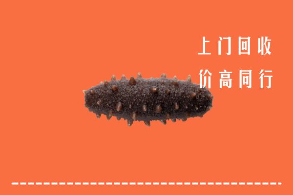 高价求购：廊坊回收海参